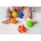 Sensoorsed pallid Tullo Sensory, 5 tk hind ja info | Arendavad mänguasjad | kaup24.ee
