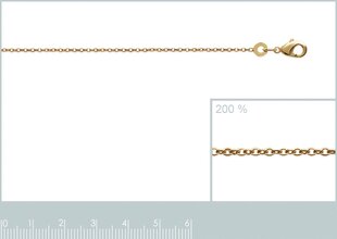 Цепочка с золотым покрытием 750°, Mon tresor цена и информация | Украшения на шею | kaup24.ee