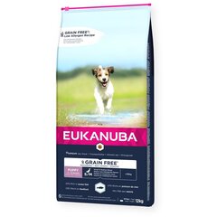 Eukanuba Grain Free Puppy väikestele/keskmise suurusega kutsikatele koos kalaga, 12 kg цена и информация | Сухой корм для собак | kaup24.ee