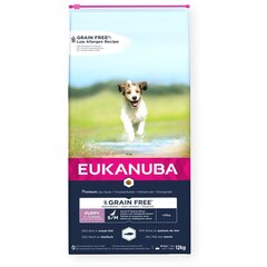 Eukanuba Grain Free Puppy väikestele/keskmise suurusega kutsikatele koos kalaga, 12 kg цена и информация |  Сухой корм для собак | kaup24.ee