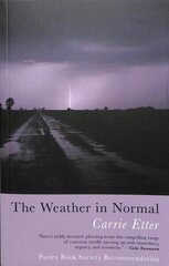 Weather in Normal цена и информация | Поэзия | kaup24.ee