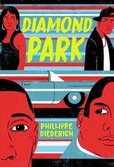 Diamond Park цена и информация | Книги для подростков и молодежи | kaup24.ee