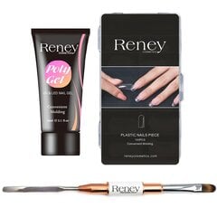 Набор Reney Polygel Acrylgel 1 шт. no. 01 + форма для ногтей + кисть с лопаточкой цена и информация | Лаки для ногтей, укрепители для ногтей | kaup24.ee