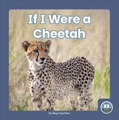 If I Were a Cheetah hind ja info | Noortekirjandus | kaup24.ee