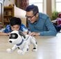 Kaugjuhitav robot, koer цена и информация | Poiste mänguasjad | kaup24.ee
