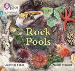 Rock Pools: Phase 3 Set 1 цена и информация | Книги для подростков и молодежи | kaup24.ee