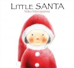 Little Santa цена и информация | Книги для подростков и молодежи | kaup24.ee