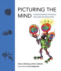 Picturing the Mind цена и информация | Книги по социальным наукам | kaup24.ee