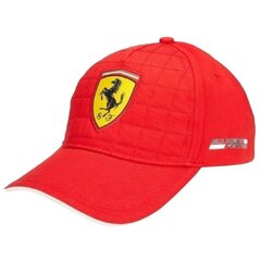 Meeste müts Ferrari 130181044-600 hind ja info | Meeste sallid, mütsid ja kindad | kaup24.ee