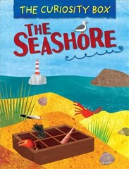 Curiosity Box: The Seashore Illustrated edition hind ja info | Noortekirjandus | kaup24.ee