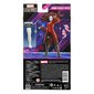 Figuur Hasbro Marvel Legends Zombie Scarlet Witch hind ja info | Poiste mänguasjad | kaup24.ee