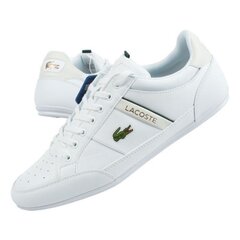 Meeste vabaajajalatsid Lacoste 7-43CMA001365T, valge hind ja info | Spordi- ja vabaajajalatsid meestele | kaup24.ee