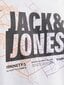 Jack & Jones meeste T-särk 12252376*04, valge hind ja info | Meeste T-särgid | kaup24.ee