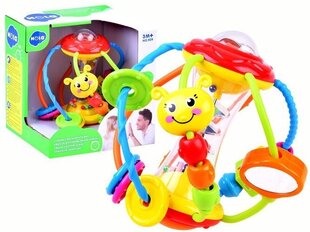Õppespiraal kuulidega Hola hind ja info | Imikute mänguasjad | kaup24.ee