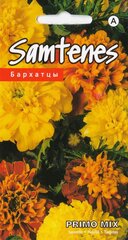 Бархатцы Primo Mix, 0,5 г цена и информация | Семена цветов | kaup24.ee
