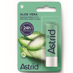 Niisutav huulepalsam aloe veraga, 4,8 g hind ja info | Huulepulgad, -läiked, -palsamid, vaseliin | kaup24.ee