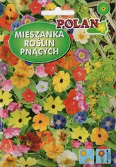 Смесь семян Лианы Polan, 2 г цена и информация | Семена цветов | kaup24.ee