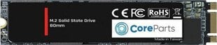 CoreParts CPSSD-M.2SATA-512GB цена и информация | Внутренние жёсткие диски (HDD, SSD, Hybrid) | kaup24.ee