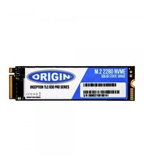 Origin Storage NB-1TB3DM.2/NVME hind ja info | Sisemised kõvakettad (HDD, SSD, Hybrid) | kaup24.ee