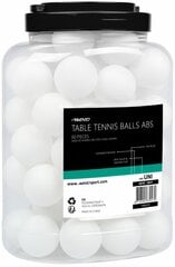 Table tennis balls AVENTO 46TR 60pcs white цена и информация | Шарики для настольного тенниса | kaup24.ee