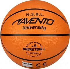 Basketball ball AVENTO JUNIOR SQUAD 47BA 5d цена и информация | Avento Спорт, досуг, туризм | kaup24.ee