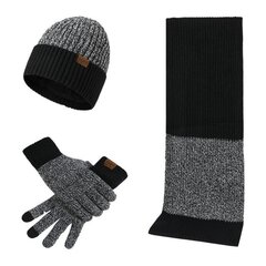 Talvekomplekt (kindad, sall, müts), must M12112101-1 цена и информация | Мужские шарфы, шапки, перчатки | kaup24.ee