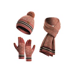 Talvekomplekt (kindad, sall, müts), roosa M1211031-1 цена и информация | Женские шапки | kaup24.ee