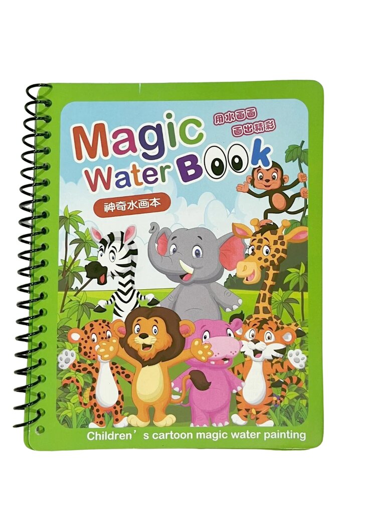 Värviraamat Cartoon Graphic Water Painting Book hind ja info | Arendavad mänguasjad | kaup24.ee