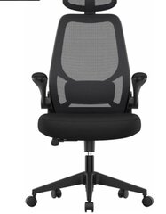 Эргономичное офисное кресло цена и информация | Офисные кресла | kaup24.ee