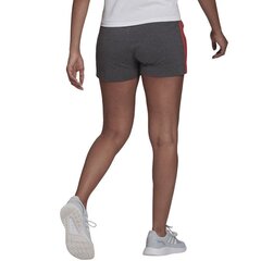 Naiste lühikesed püksid Adidas Essentials Slim 3 Stripes, hall hind ja info | Naiste spordiriided | kaup24.ee