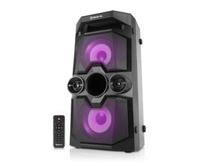 Портативная колонка REAL-EL X-771, Bluetooth, 50 Вт, USB, AUX, Micro SD, питание от аккумулятора цена и информация | Аудио колонки | kaup24.ee