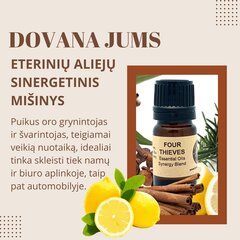 Aroomiteraapia eeterlike õlide difuusor, 10ml цена и информация | Ароматы для дома | kaup24.ee