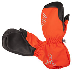 Демисезонные детские рукавички (полностью водонепроницаемые) Hofler цена и информация | Зимняя одежда для детей | kaup24.ee