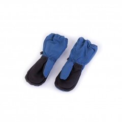 Зимние варежки на липучке Tutu, синие цена и информация | Шапки, перчатки, шарфики для новорожденных | kaup24.ee