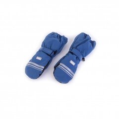 Talvised labakindad takjapaelaga TuTu3-006332. Blue. цена и информация | Шапки, перчатки, шарфики для новорожденных | kaup24.ee