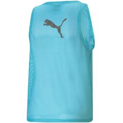 Meeste T-särk Puma Bib M 65725141, sinine цена и информация | Мужские футболки | kaup24.ee