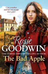 Bad Apple: A powerful saga of surviving and loving against the odds цена и информация | Фантастика, фэнтези | kaup24.ee