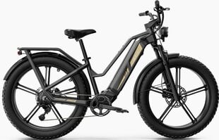 Электровелосипед FIIDO TITAN, 26", серый, 750Вт, 14,5Ач цена и информация | Электровелосипеды | kaup24.ee