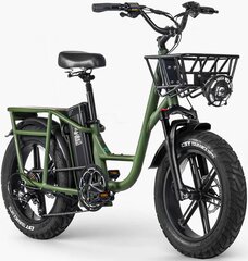 Электровелосипед Fiido T1 PRO, зеленый, 750Вт, 20Ач цена и информация | Электровелосипеды | kaup24.ee
