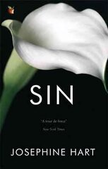 Sin: By the author of DAMAGE, inspiration for the Netflix series OBSESSION hind ja info | Fantaasia, müstika | kaup24.ee