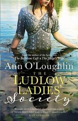 Ludlow Ladies' Society цена и информация | Фантастика, фэнтези | kaup24.ee