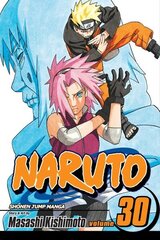 Naruto, Vol. 30 hind ja info | Fantaasia, müstika | kaup24.ee
