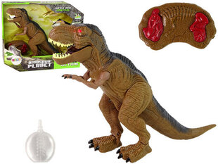 Puldiga juhitav dinosaurus Tyrannosaurus Rex Lean Toys цена и информация | Игрушки для мальчиков | kaup24.ee