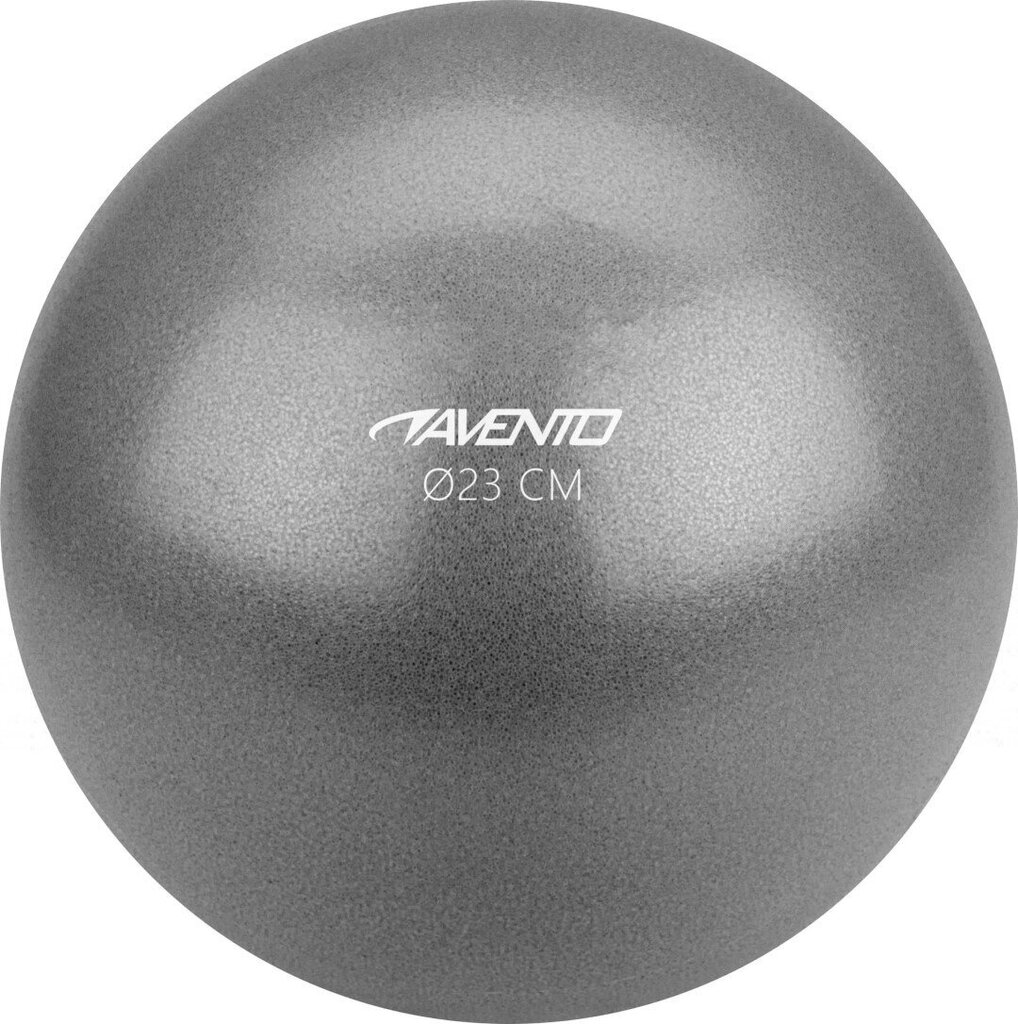 Võimlemispall Avento 42OK, 23 cm, hall hind ja info | Võimlemispallid | kaup24.ee