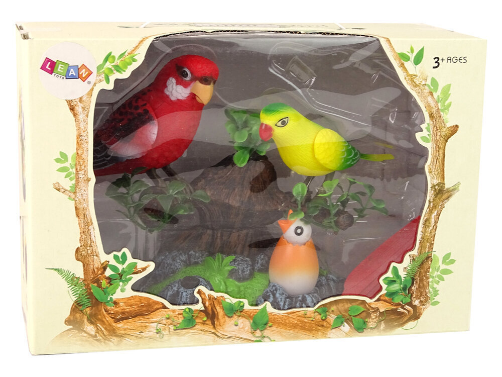 Interaktiivsed papagoid Lean Toys, 2 tk. hind ja info | Poiste mänguasjad | kaup24.ee