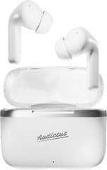 Audictus In-ear Bluetooth Headphones Audictus Dopamine цена и информация | Наушники | kaup24.ee