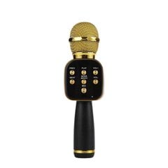 Royal Song V669 Золото цена и информация | Микрофоны | kaup24.ee
