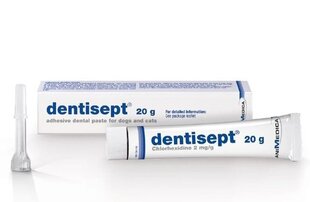 Липкая зубная паста для питомцев Dentisept, 20 г цена и информация | Средства по уходу за животными | kaup24.ee