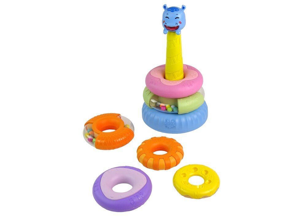 Arendav mängupüramiid rõngastega Lean Toys hind ja info | Imikute mänguasjad | kaup24.ee