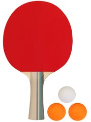 Набор для настольного тенниса GET & GO цена и информация | Ракетки для настольного тенниса, чехлы и наборы | kaup24.ee
